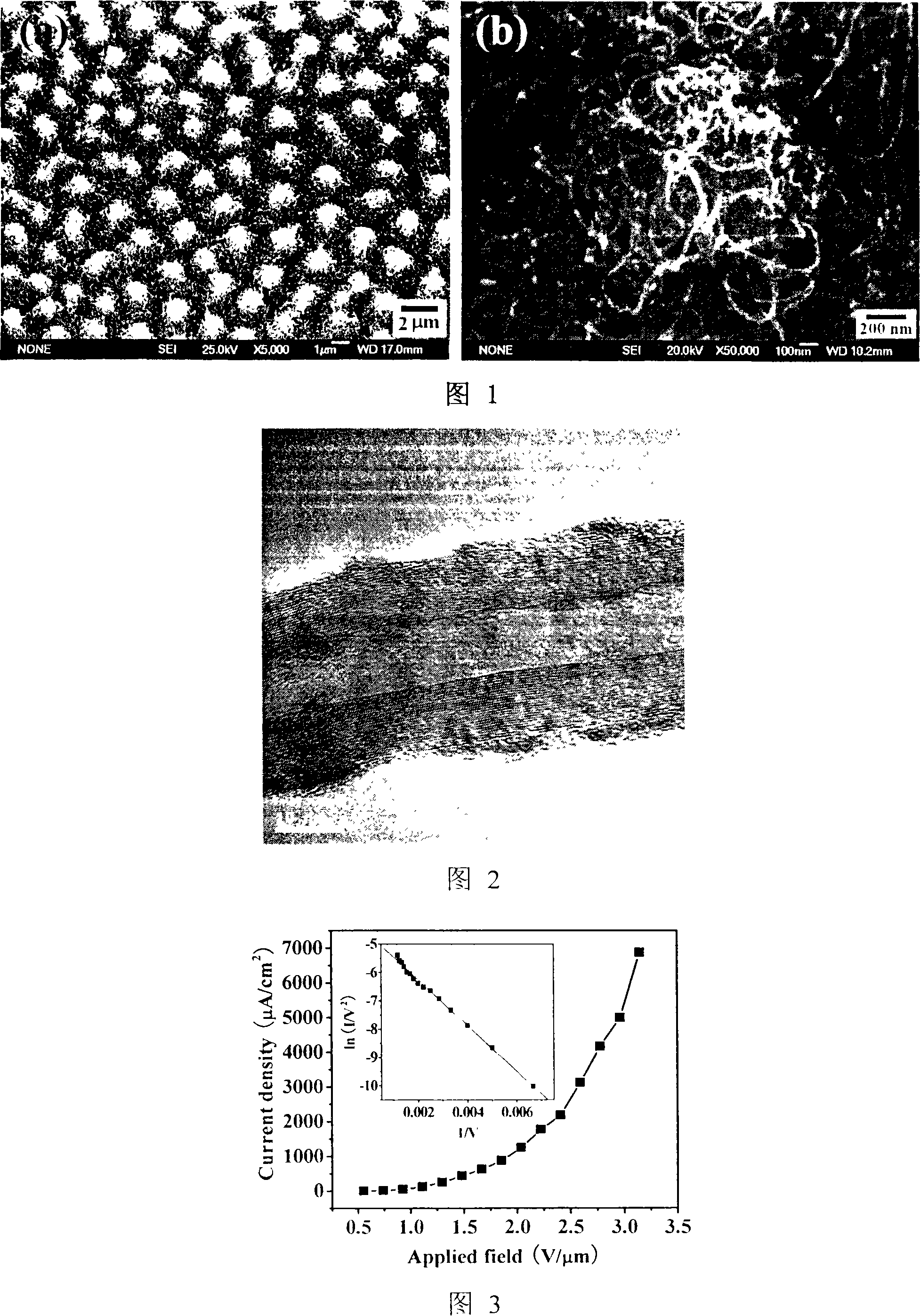 Carbon nanometer tube/silicon honeycomb array preparing method