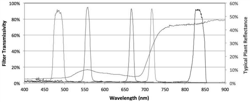 Beet nitrogen nutrition detection method and system based on unmanned aerial vehicle multispectral data