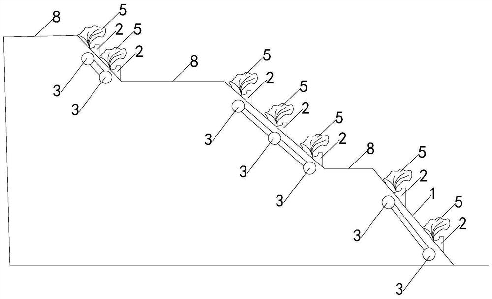 Semi-arid waste dump slope vegetation restoration structure and method capable of efficiently utilizing rainfall