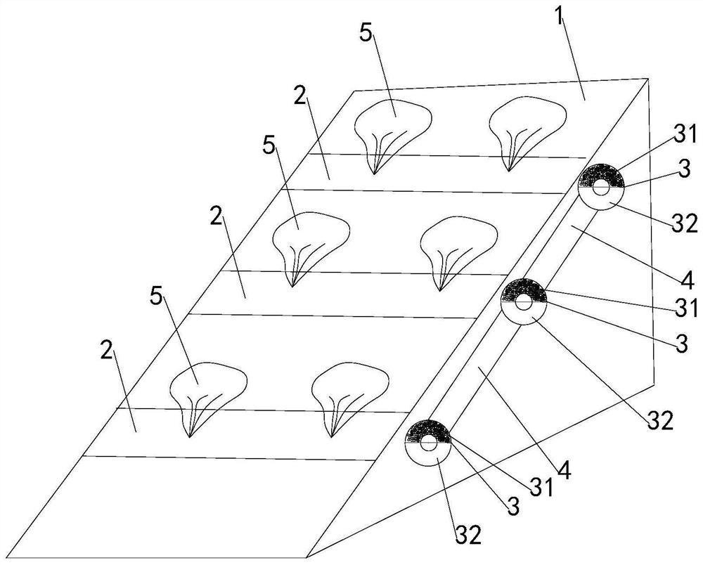 Semi-arid waste dump slope vegetation restoration structure and method capable of efficiently utilizing rainfall