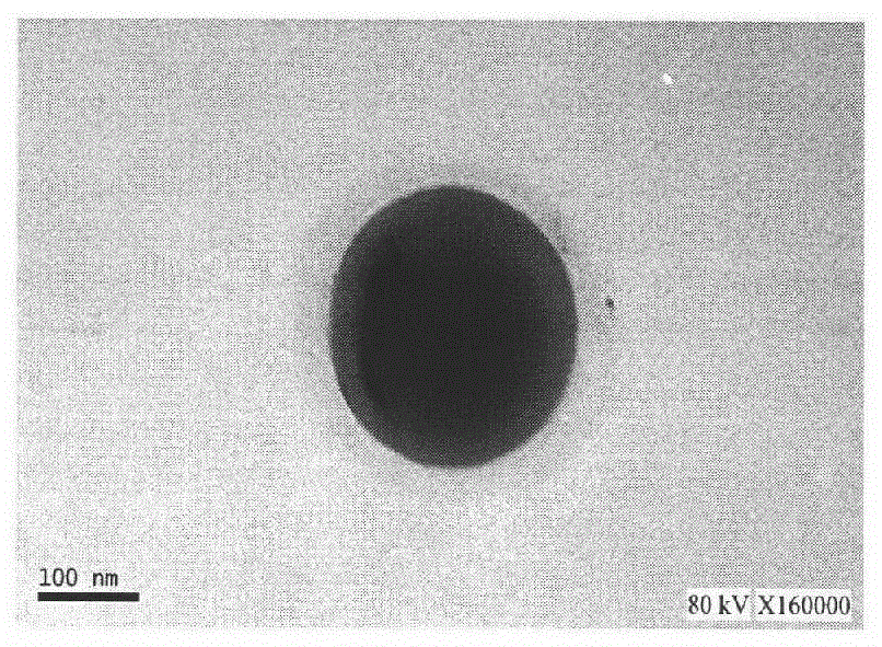 Multifunctional multimode tumor-specific targeting phase-change nano-microsphere photoacoustic contrast medium and application thereof