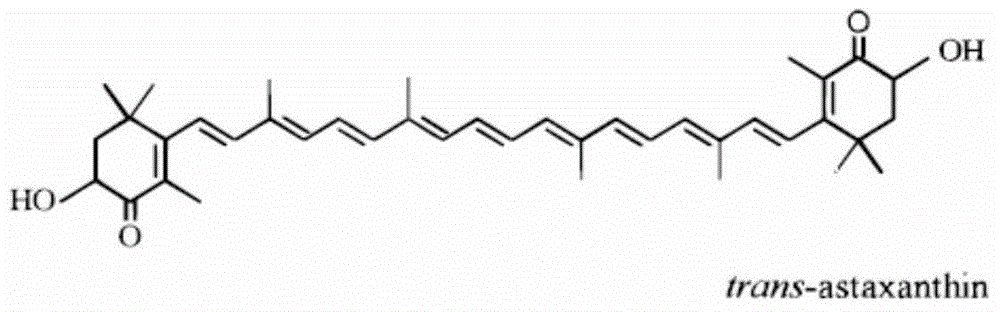 Carotenoid compound derived from plant source and containing natural astaxanthin as well as preparation method and composition of carotenoid compound