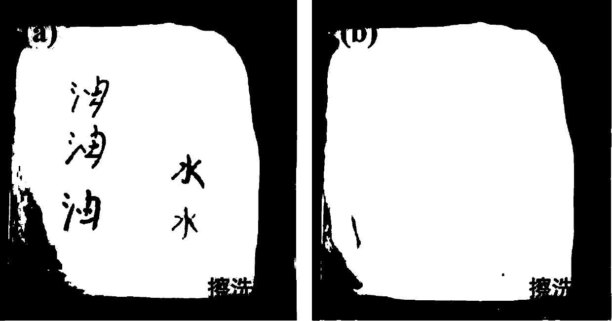 Preparation method and application of water-soluble hydrophobic-oilphobic modification material