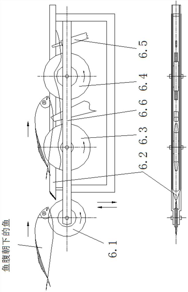 Fish viscera removing processing intelligent equipment and method capable of automatically identifying belly and back orientation of fish body