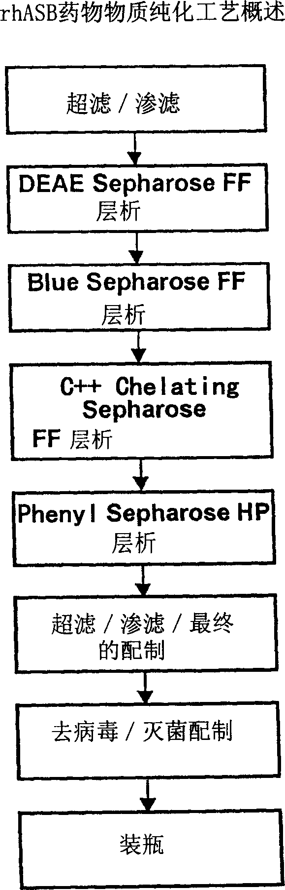 Precursor N-acetylgalactosamine-4 sulfatase, methods of treatment using said enzyme and methods for producing and purifying said enzyme