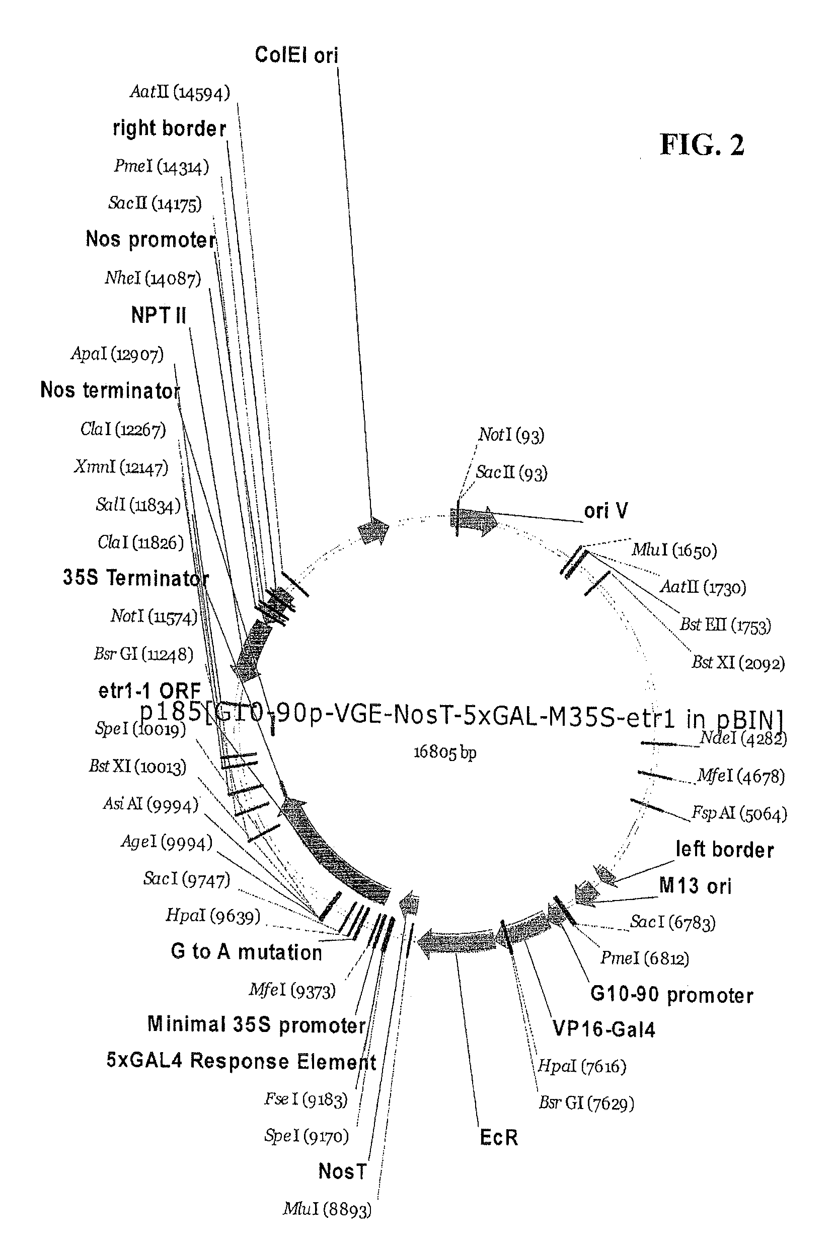 Compositions and methods for the modification of physiological responses in plants