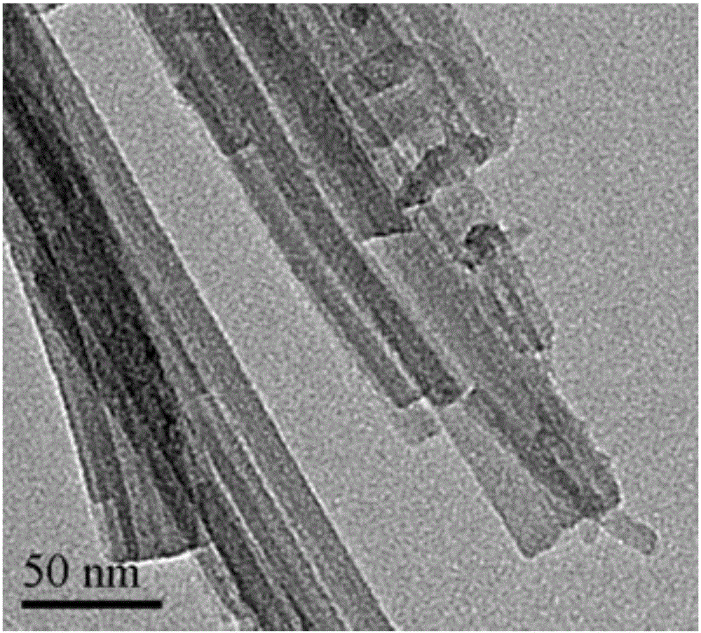 Porous kalsilite and preparation method thereof