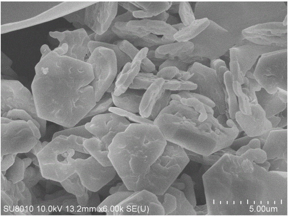 Porous kalsilite and preparation method thereof