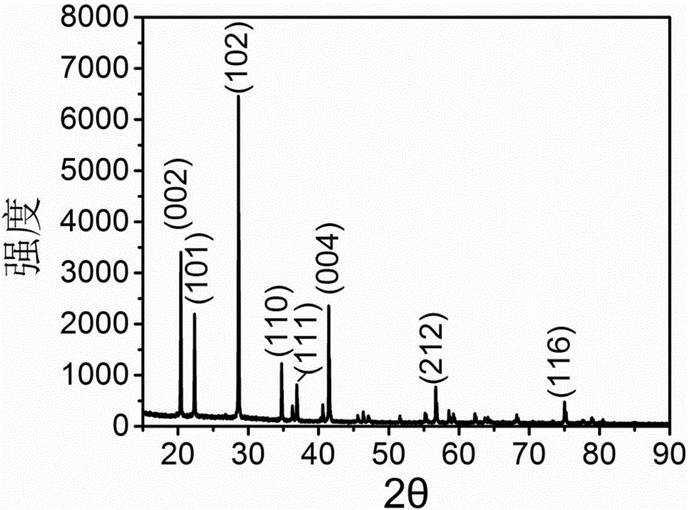 Porous kalsilite and preparation method thereof