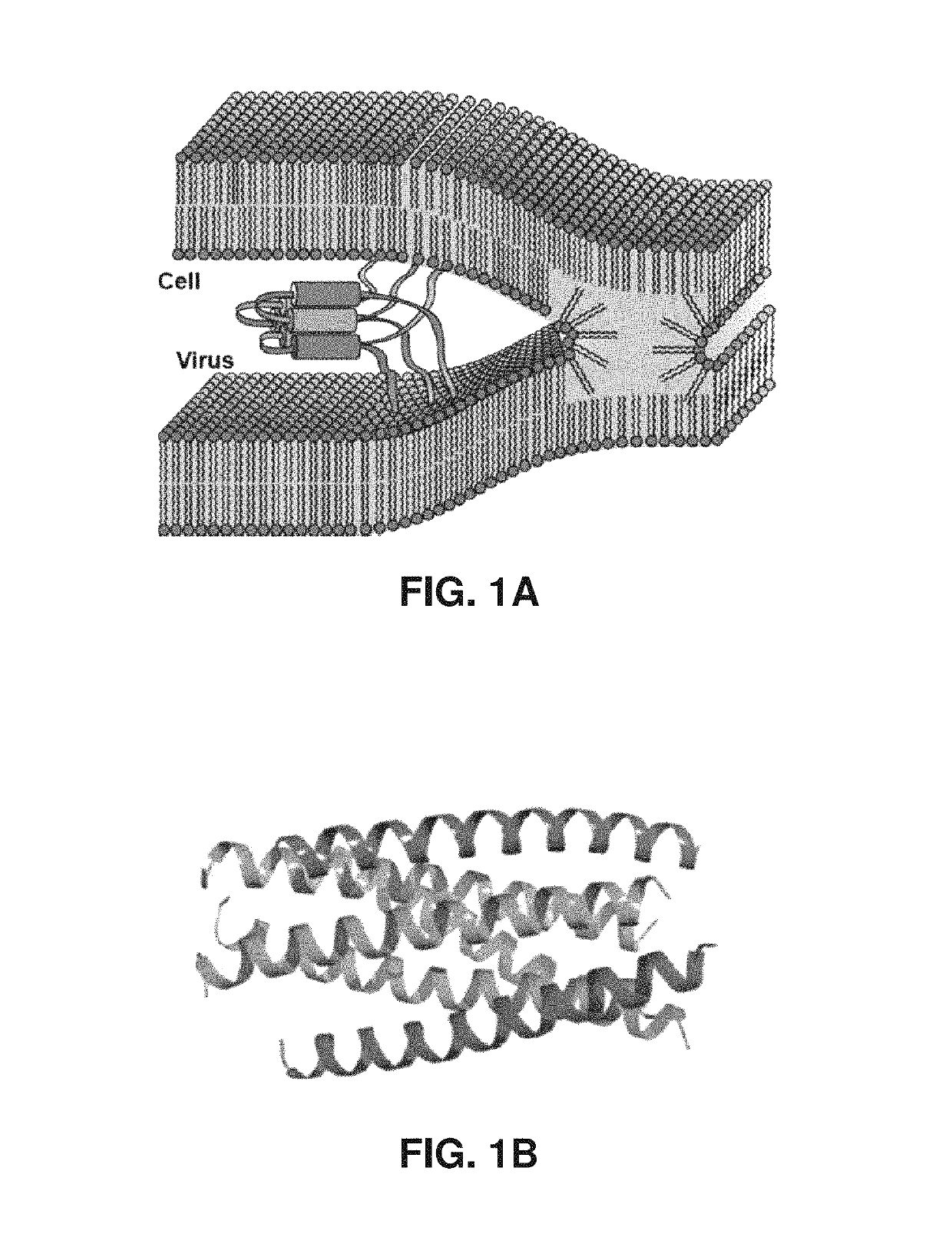 Helix-grafted proteins as inhibitors of disease-relevant protein-protein interactions