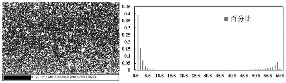 Tin phosphorus bronze band and preparation method thereof