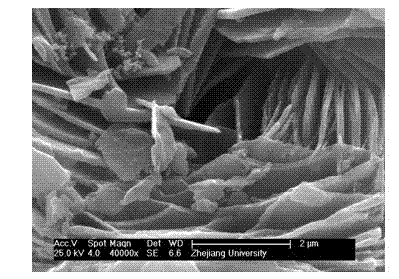 Method for preparing flaky lithium vanadium phosphate cathode material of lithium ion battery