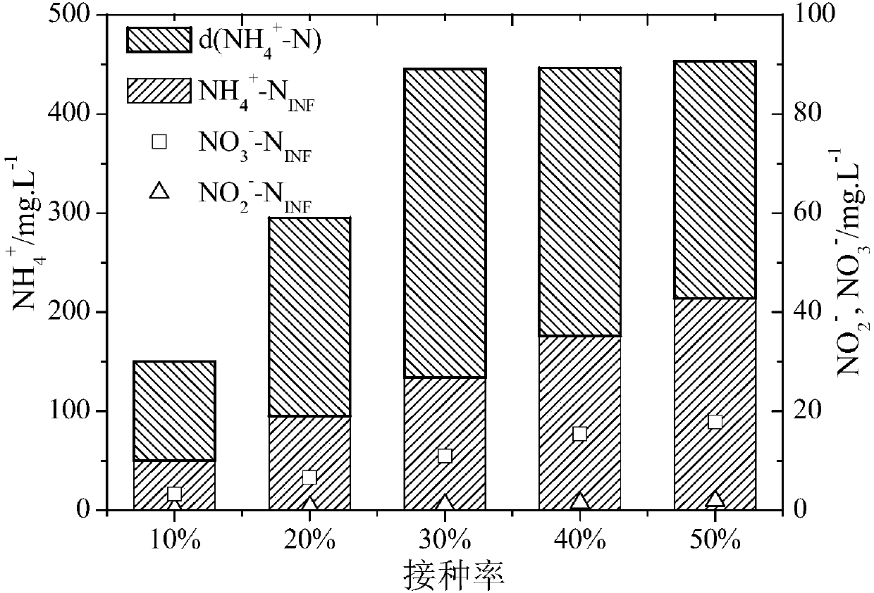 Microbial flora for decomposing dimethylformamide and culture method thereof