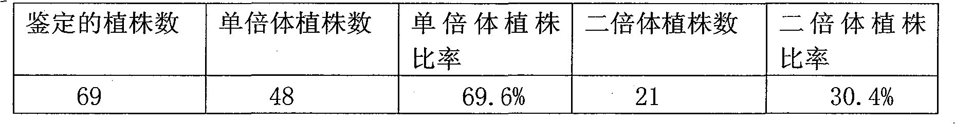 Method for obtaining haploid plant of calla by anther culture