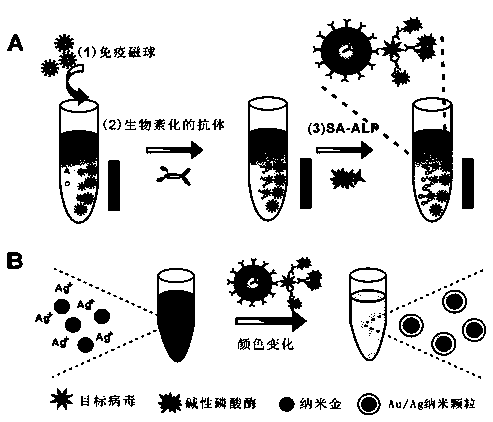 Detection kit for visibly detecting virus and virus detection method