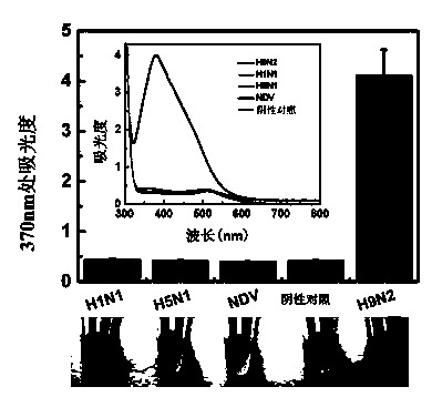 Detection kit for visibly detecting virus and virus detection method