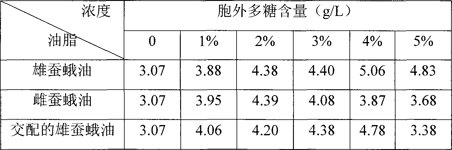 Method for highly effective production and separating purification of Chinese caterpillar fungus extracellular polysaccharide