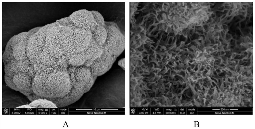 Catalyst and regeneration method for methane-hydrogen sulfide reforming hydrogen production process