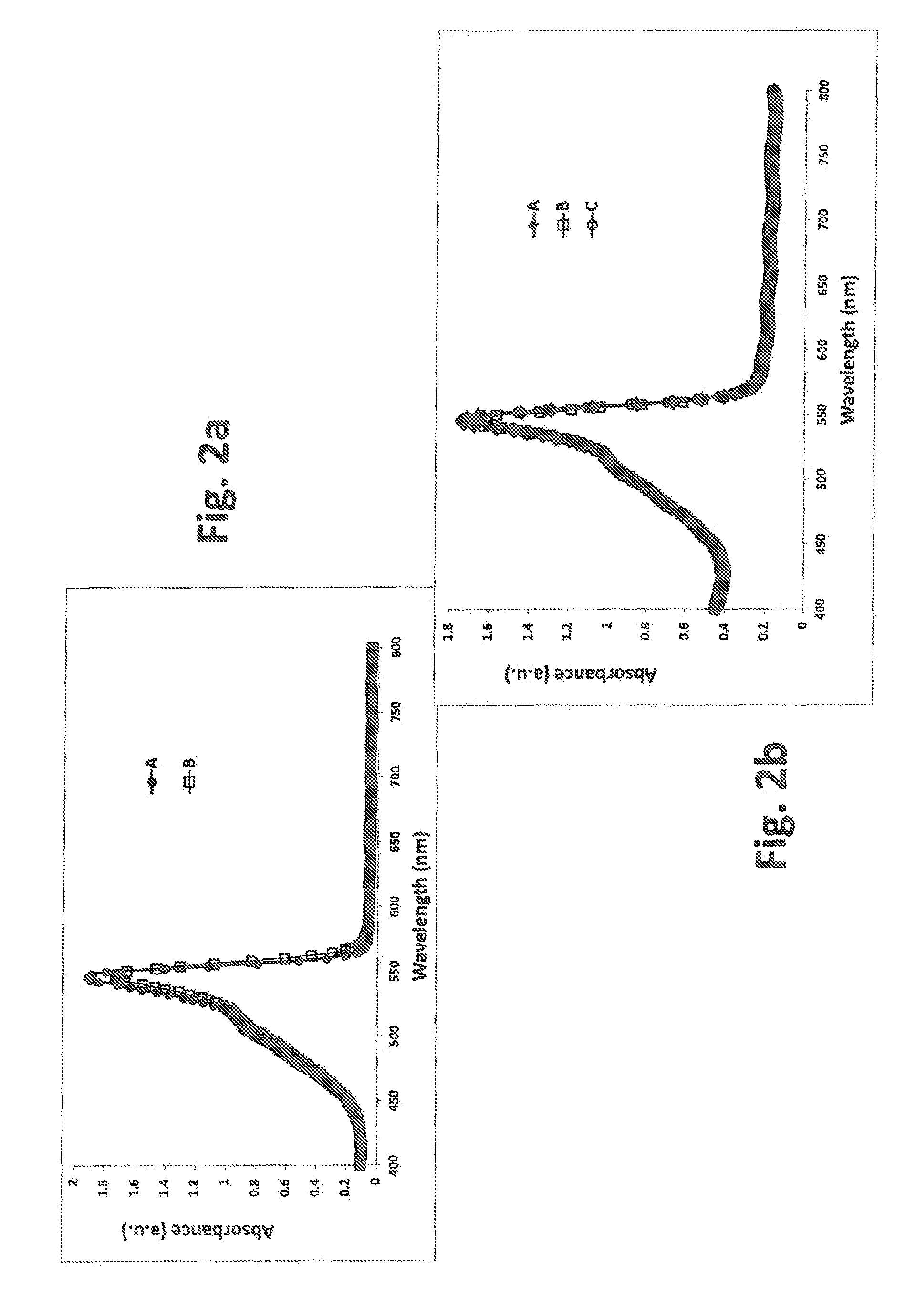 Assembly comprising J-aggregates