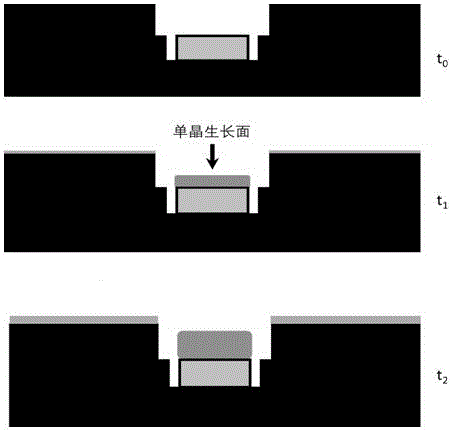 Substrate holder and method for growing monocrystalline diamond