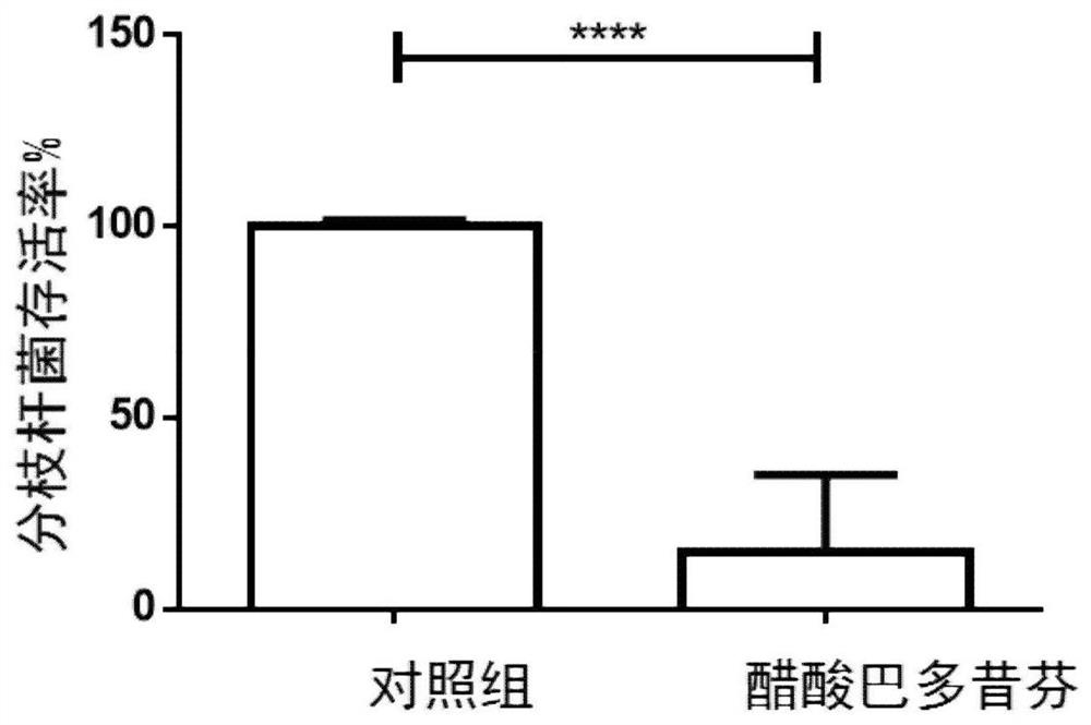 Application of bazedoxifene acetate in anti-mycobacterium tuberculosis drugs