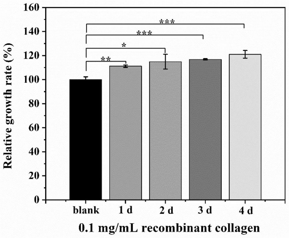 Recombinant collagen product for skin light injury repair