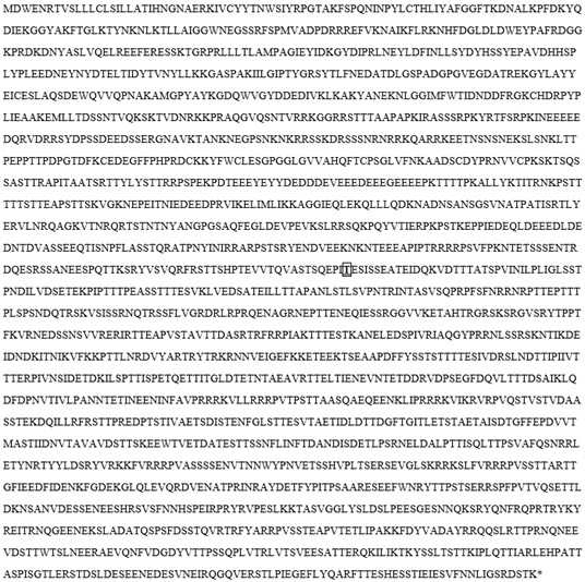 A differential gene between commercial Bumblebee and wild Bumblebee and its molecular markers and applications