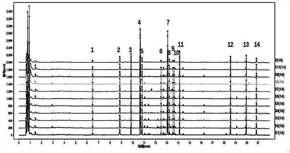 Pseudo-ginseng quality detection method based on spectrum-activity relationship