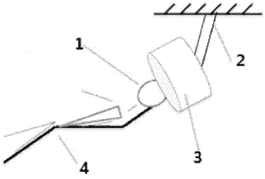 A head and neck magnetic resonance imaging device and system thereof