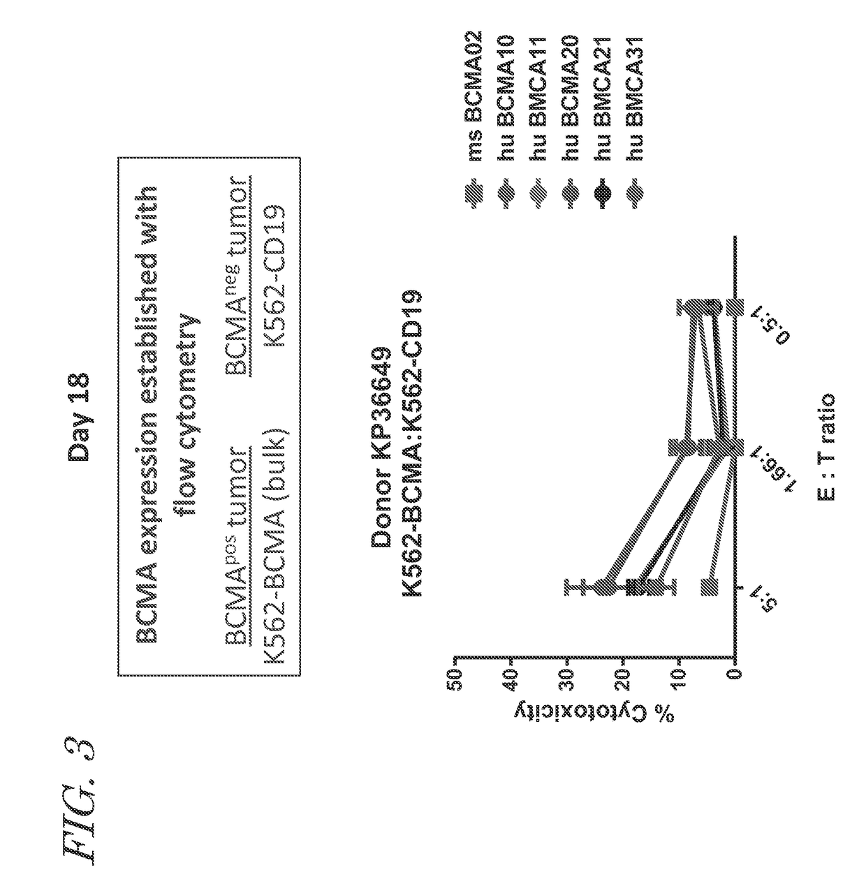 Bcma chimeric antigen receptors