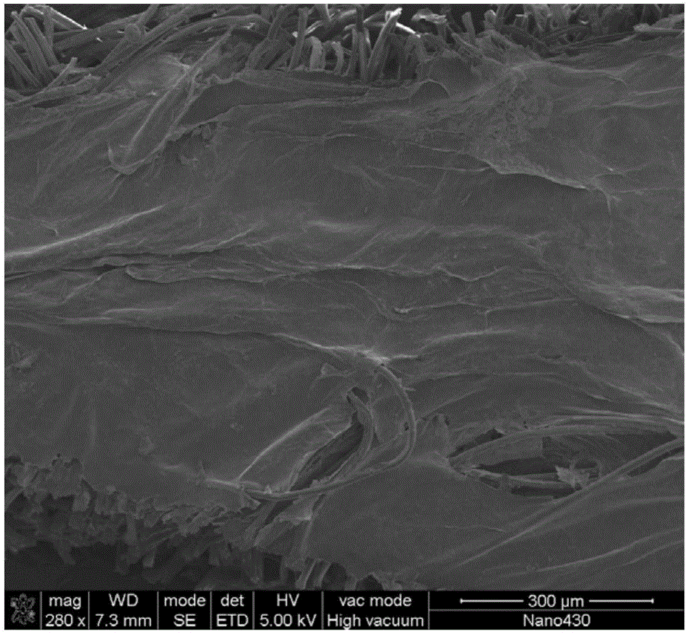 A kind of bacterial cellulose/fabric layered composite material and preparation method thereof