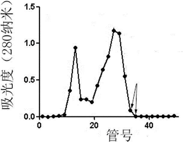 Antioxidant peptide AOP-OM1 as well as preparation method and application thereof