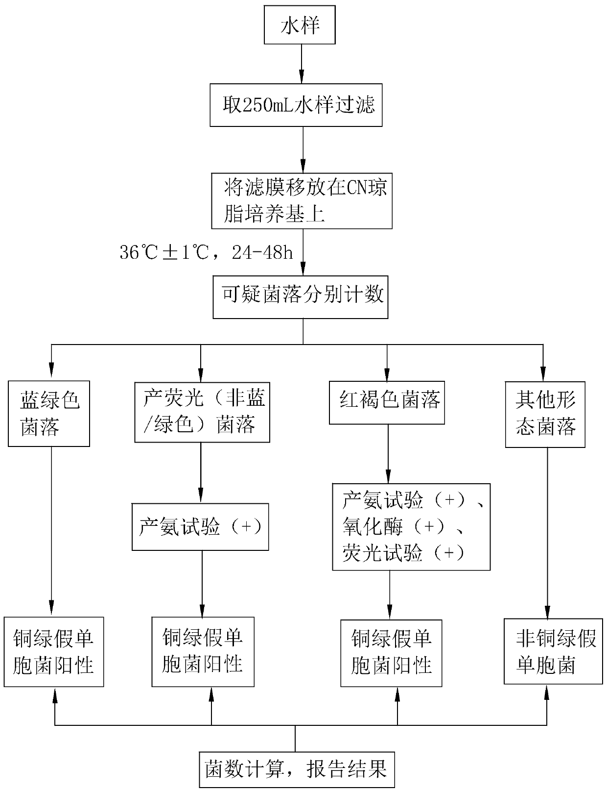 Pseudomonas aeruginosa chromogenic culture medium and method for quick detection by same