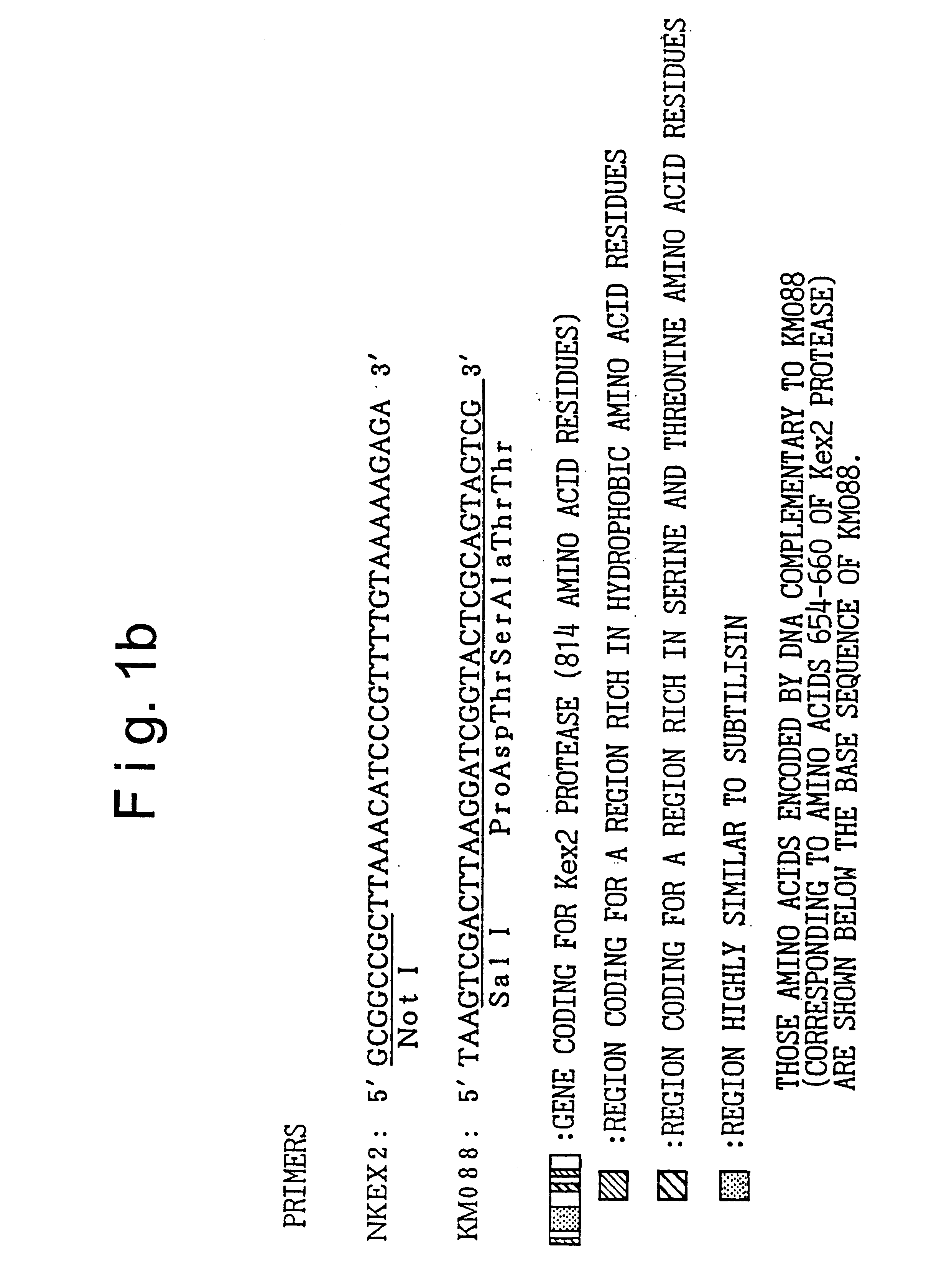 Method for culturing microorganisms having a methanol metabolic pathway