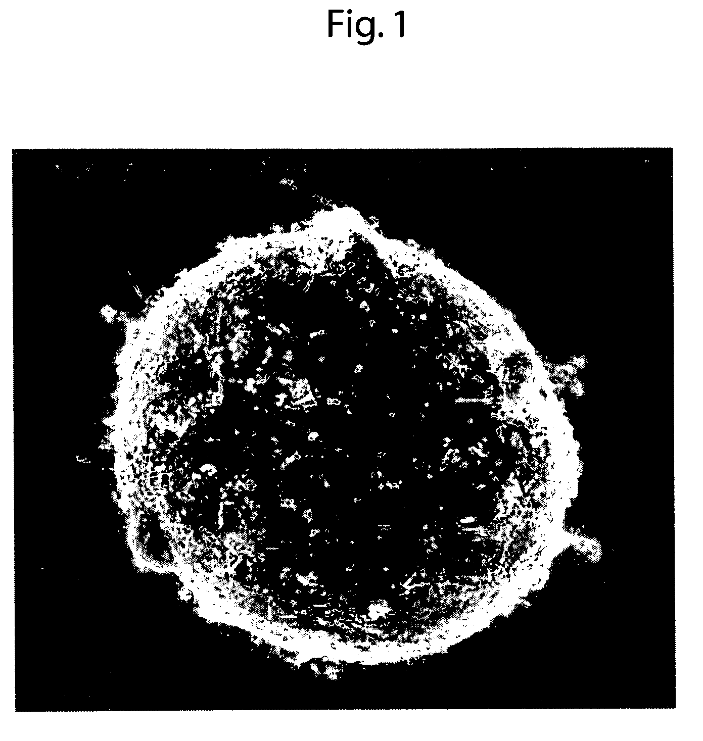 Negative electrode active material for an electricity storage device and method for manufacturing the same