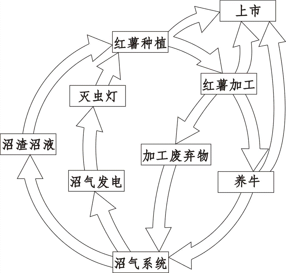 Environment-friendly ecological circulation potato planting system