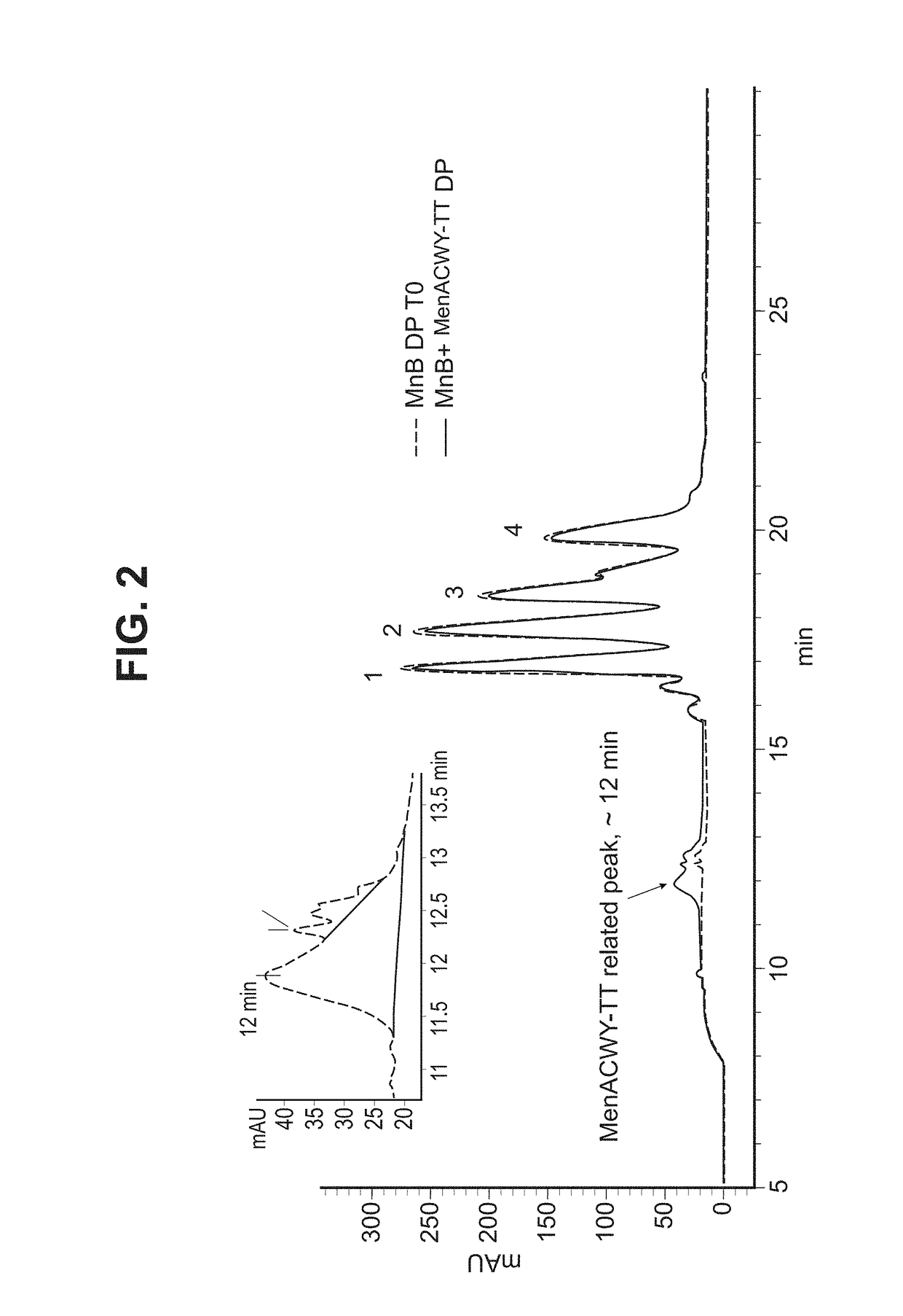 <i>Neisseria meningitidis </i>compositions and methods thereof