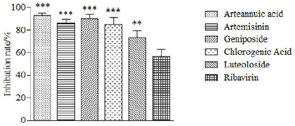 Application of compounds in preparation of anti-A6 coxsackie virus medicine