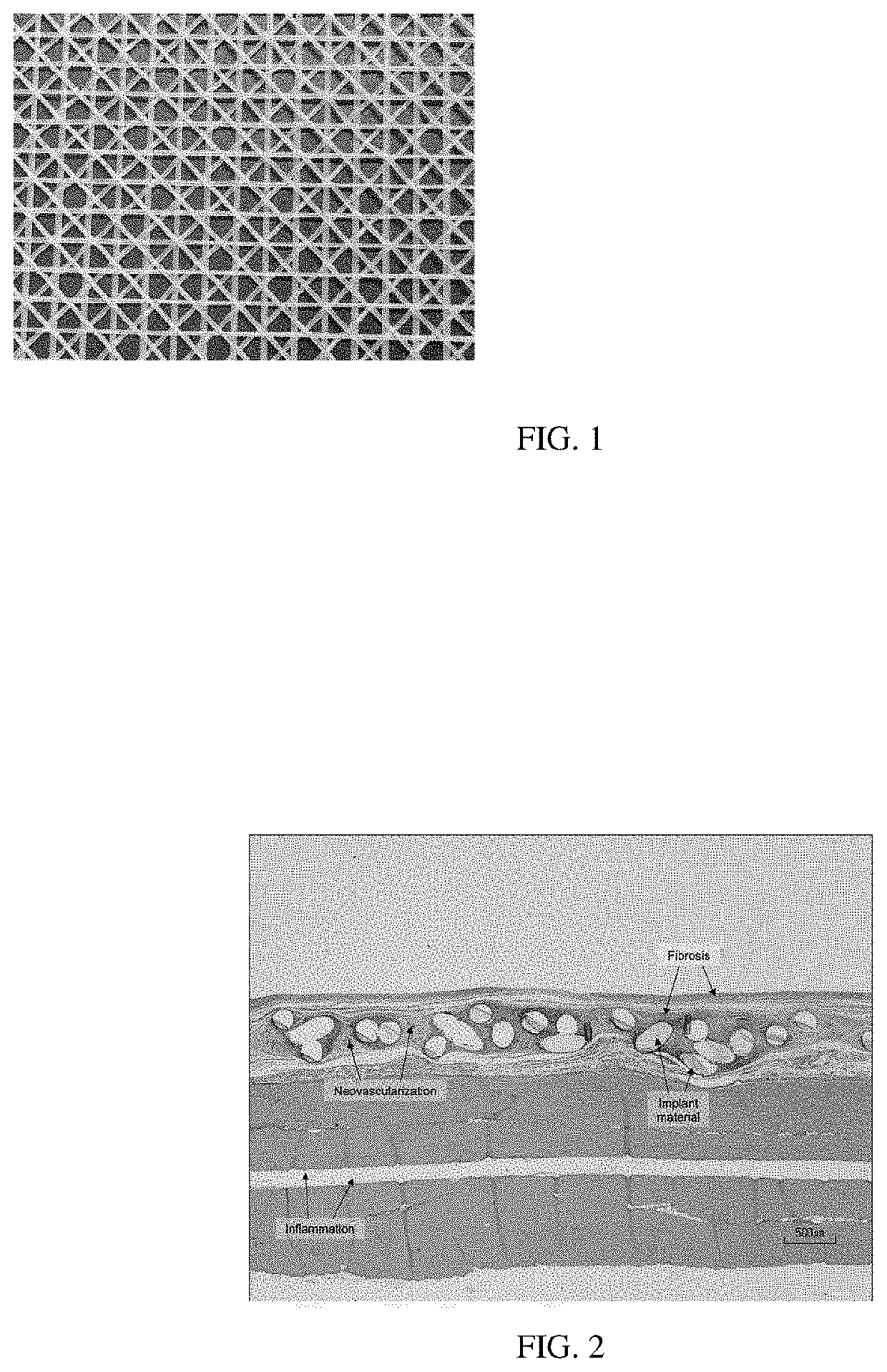 Yarns and fibers of poly(butylene succinate) and copolymers thereof, and methods of use thereof