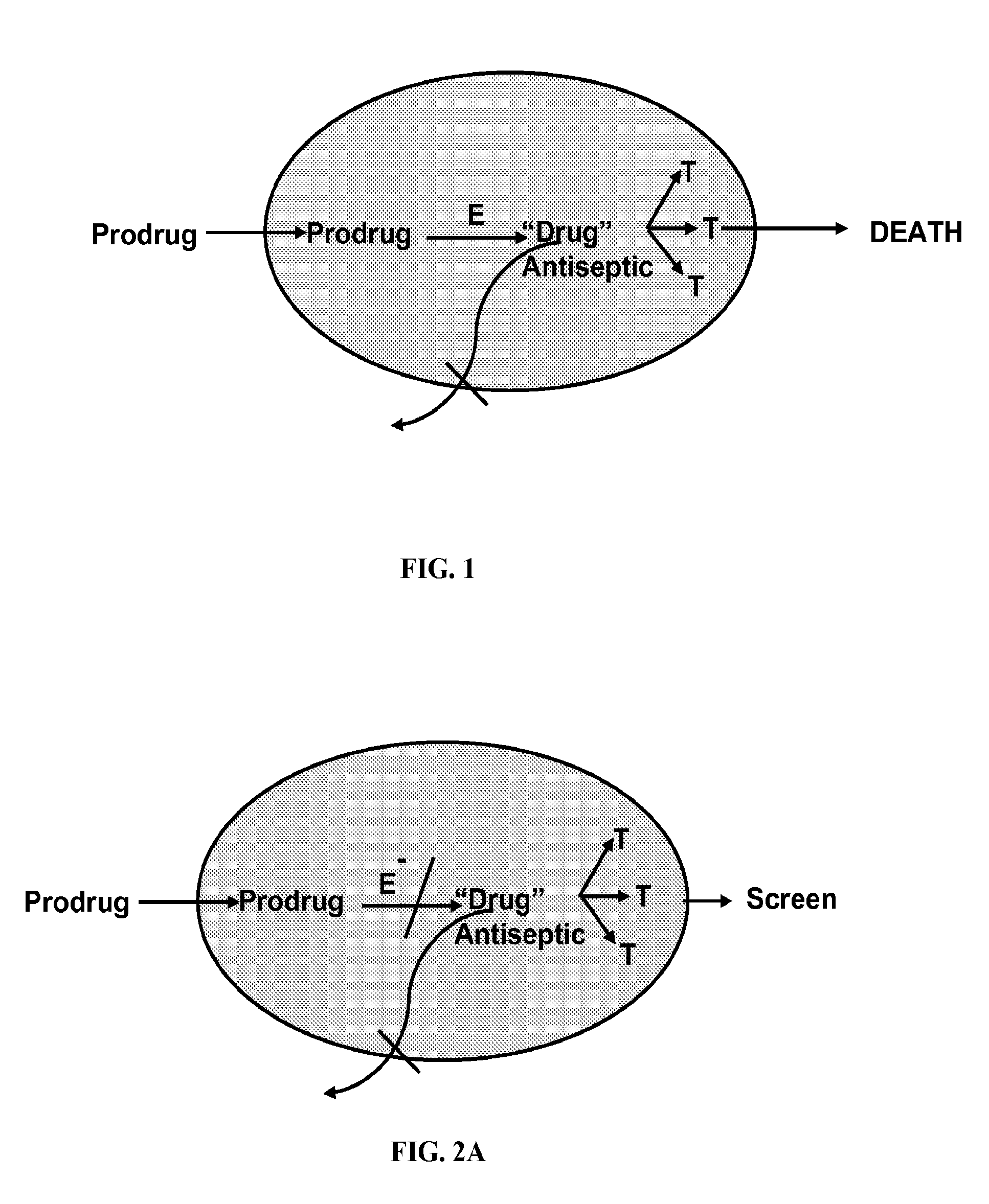 Antibiotic compounds