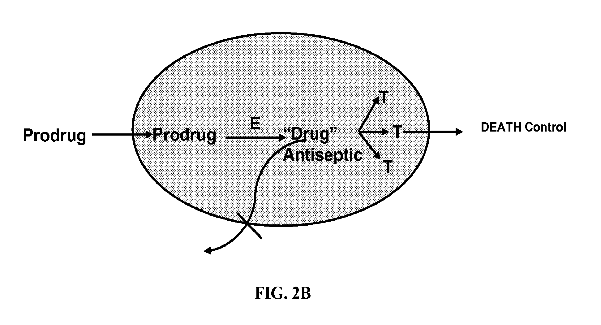 Antibiotic compounds