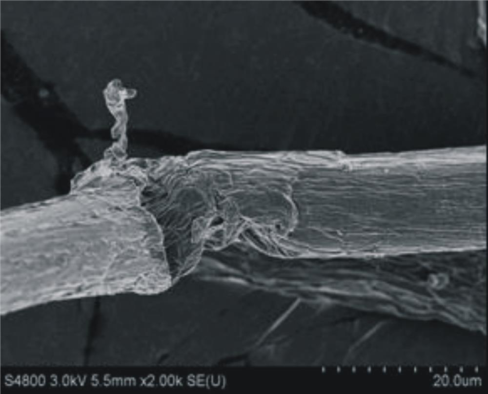 Preparation method of enzymatic wheat straw cellulose microfibrils