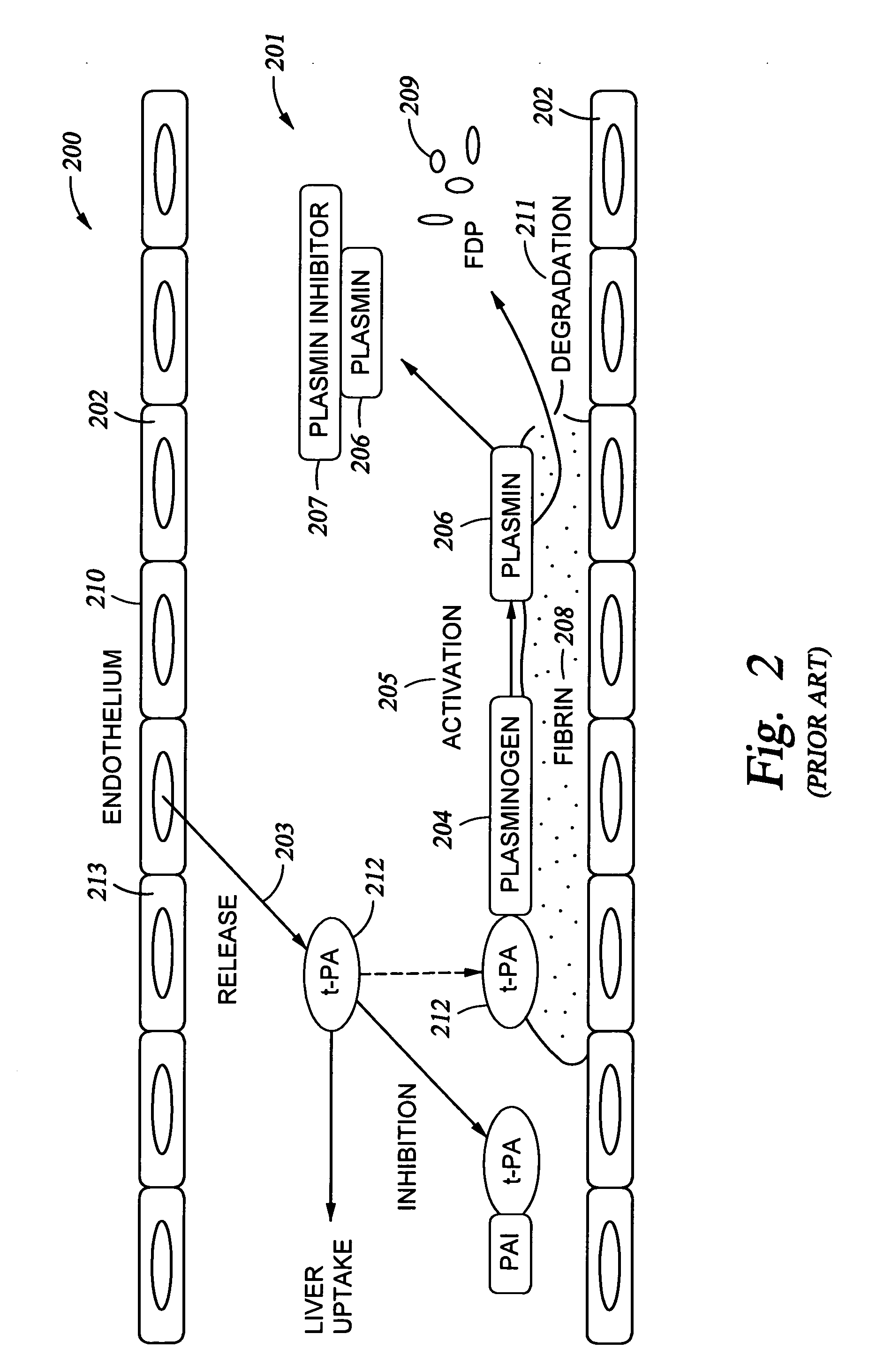 Apparatus and method for improving blood flow in arterioles and capillaries