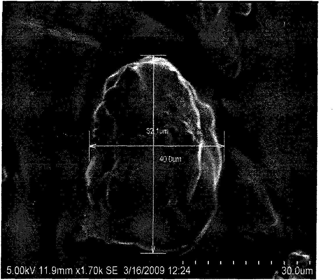 Method for preparing lactobacillus microcapsules