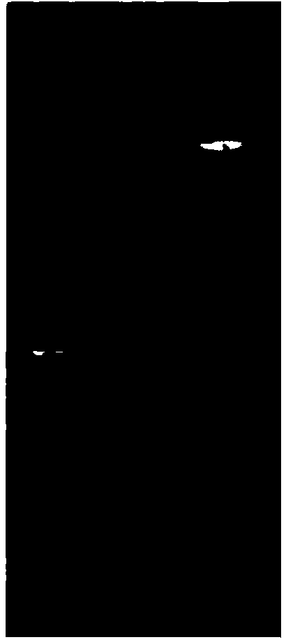 HCV (hepatitis c virus) recombinant fusion antigen, and expressed gene and preparation method thereof