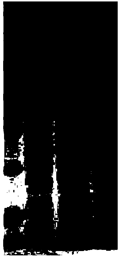 HCV (hepatitis c virus) recombinant fusion antigen, and expressed gene and preparation method thereof