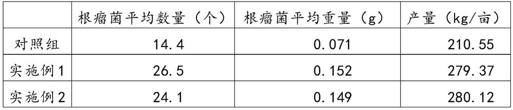 Microbial compound fertilizer for promoting nitrogen fixation of plant root nodules and preparation method thereof