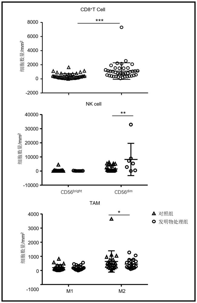 Preparation and application of tumor immune microenvironment regulating agent