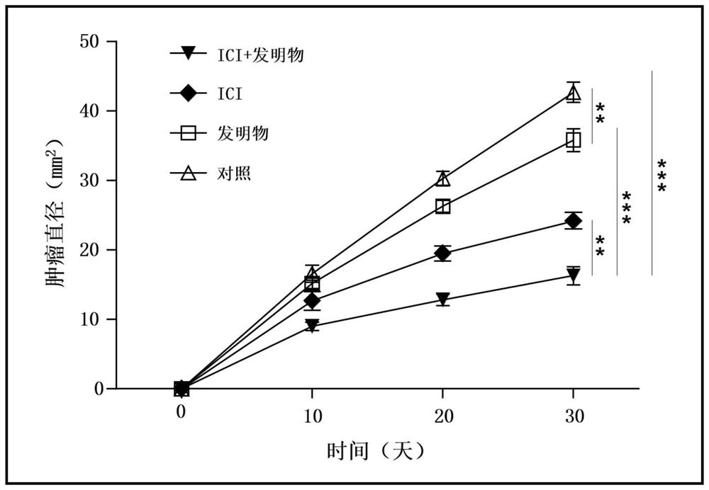 Preparation and application of tumor immune microenvironment regulating agent