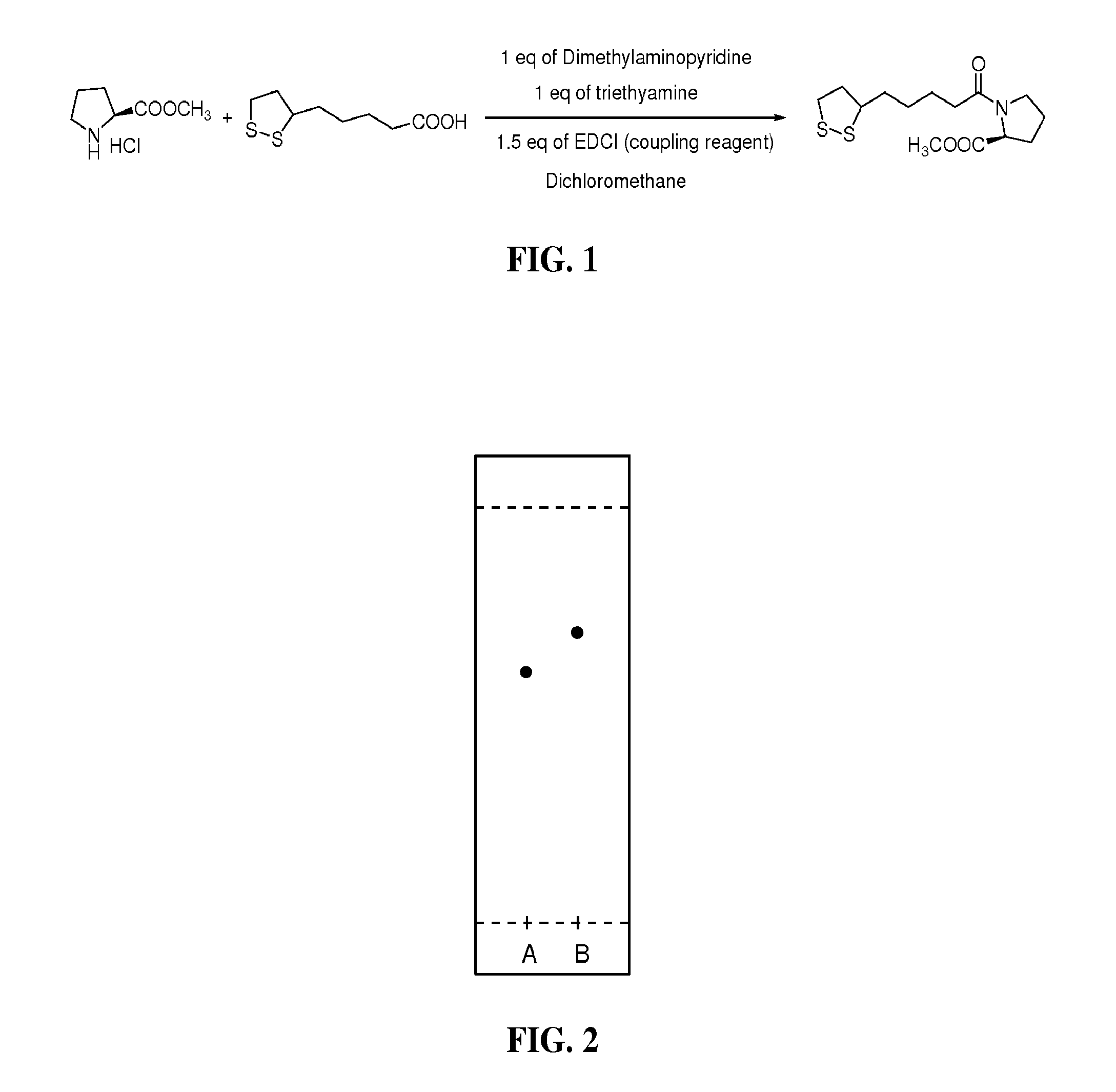 Compositions and Methods for Treatment of Renin-Angiotensin Aldosterone System (RAAS)- Related Disorders